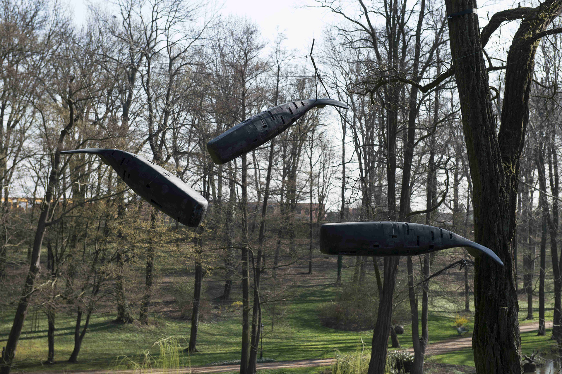 Collete gallery image