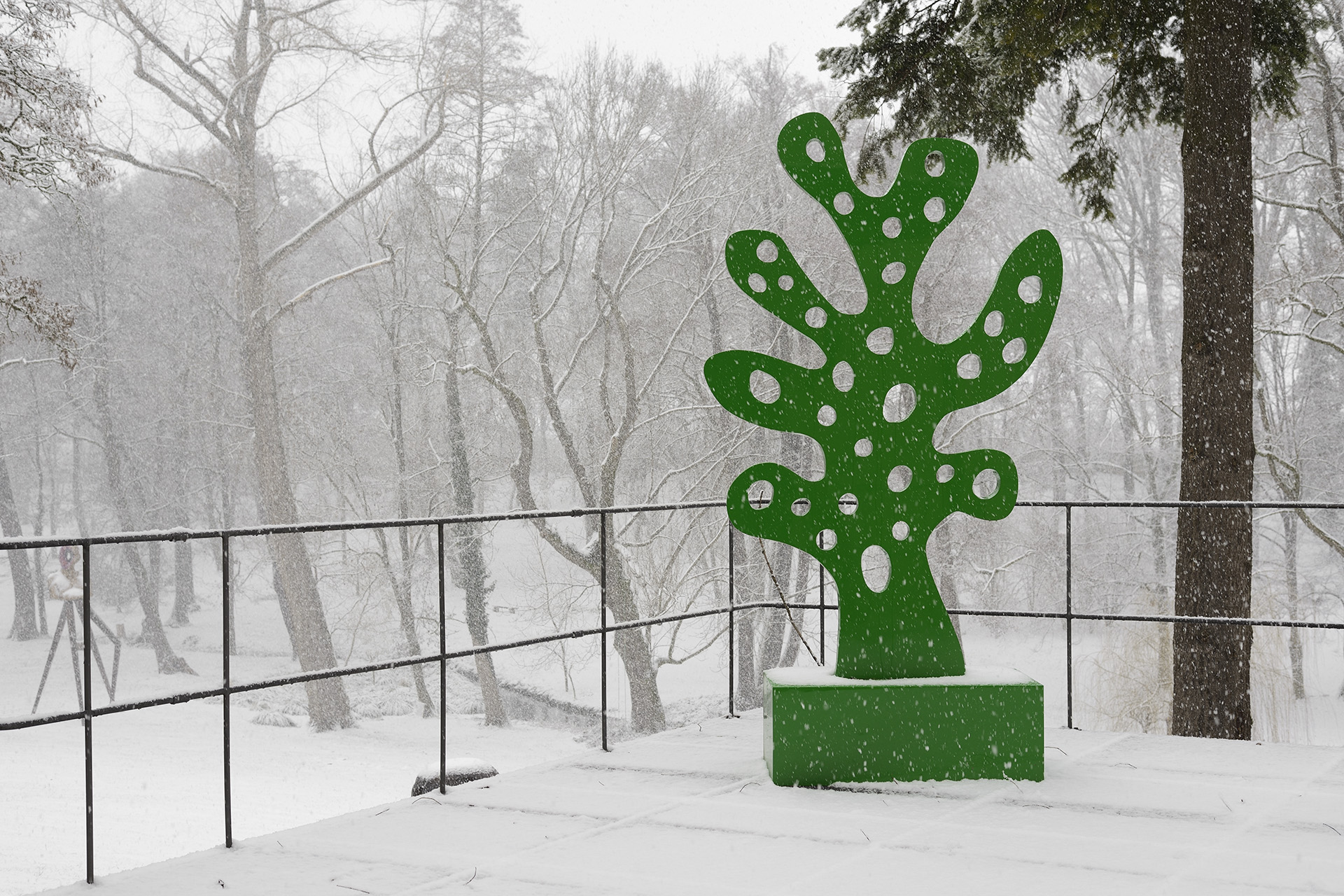 Collete gallery image